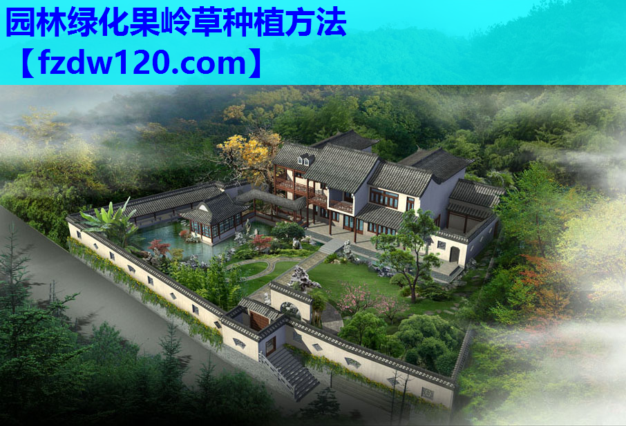 园林绿化果岭草种植方法