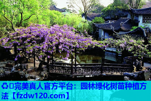 ♻️完美真人官方平台：园林绿化树苗种植方法