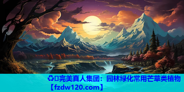 ♻️完美真人集团：园林绿化常用芒草类植物