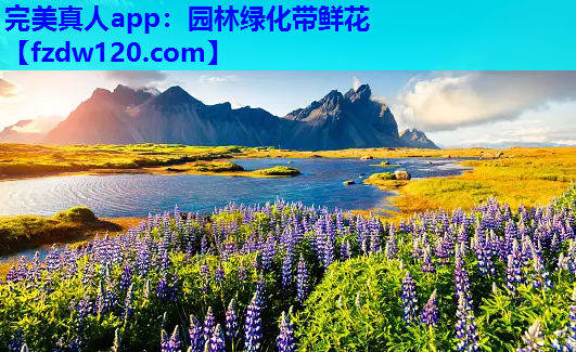 完美真人app：园林绿化带鲜花