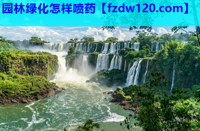 园林绿化怎样喷药