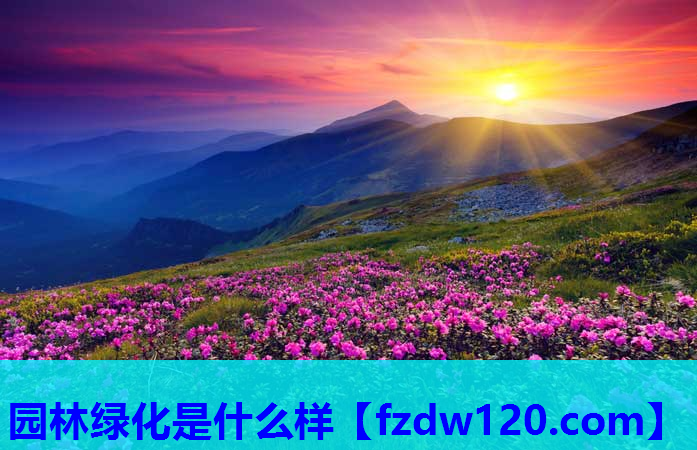 园林绿化是什么样