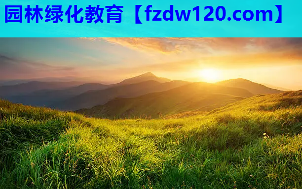 园林绿化教育