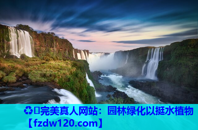 ♻️完美真人网站：园林绿化以挺水植物