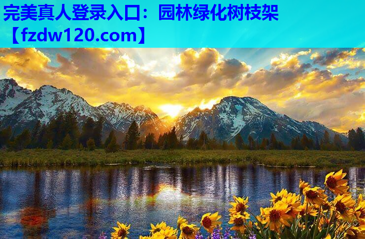 完美真人登录入口：园林绿化树枝架