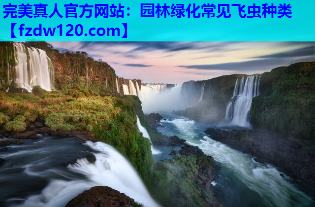 完美真人官方网站：园林绿化常见飞虫种类