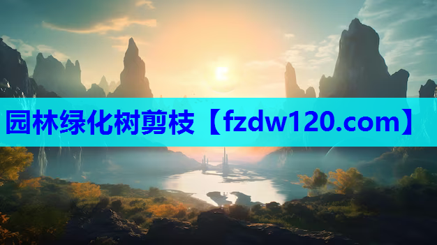 园林绿化树剪枝