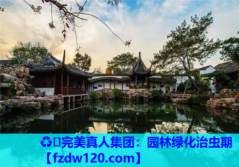 ♻️完美真人集团：园林绿化治虫期