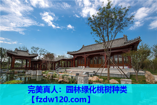 完美真人：园林绿化桃树种类