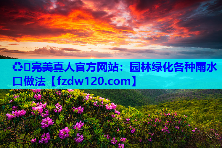 ♻️完美真人官方网站：园林绿化各种雨水口做法