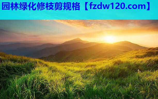 园林绿化修枝剪规格
