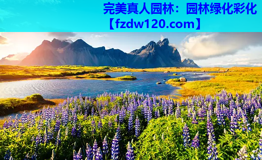 完美真人园林：园林绿化彩化