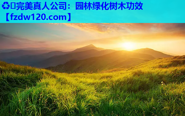 ♻️完美真人公司：园林绿化树木功效