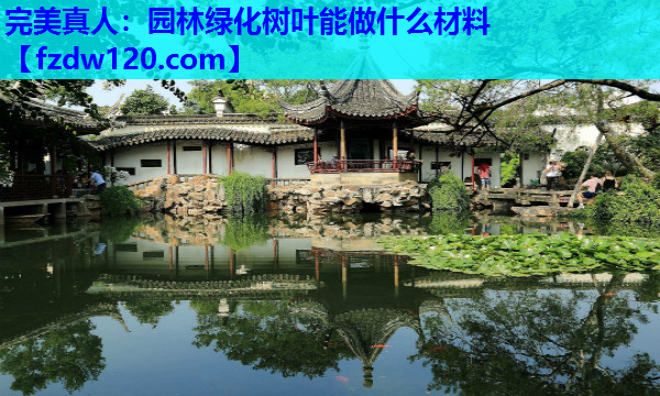 完美真人：园林绿化树叶能做什么材料