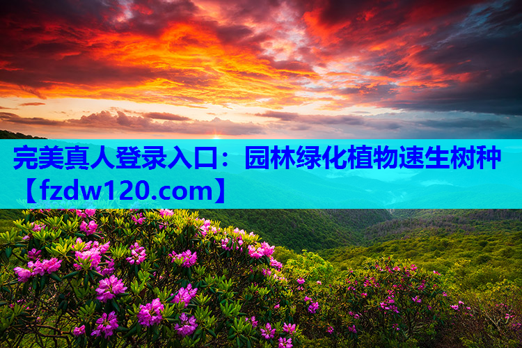 完美真人登录入口：园林绿化植物速生树种