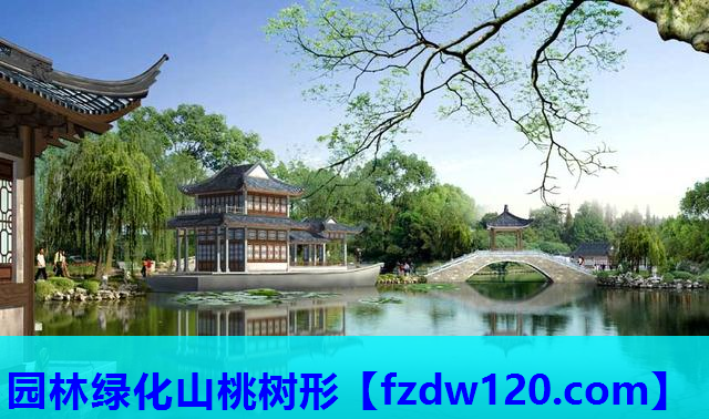 园林绿化山桃树形