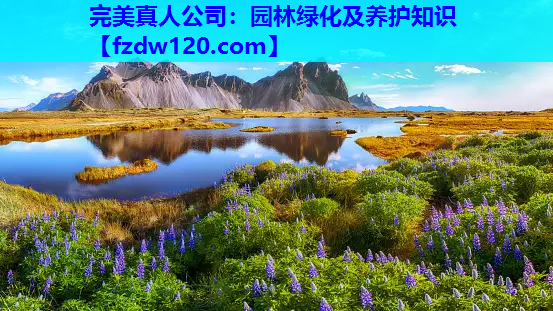 完美真人公司：园林绿化及养护知识