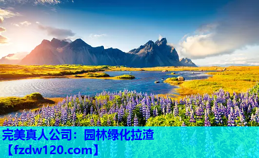 完美真人公司：园林绿化拉渣