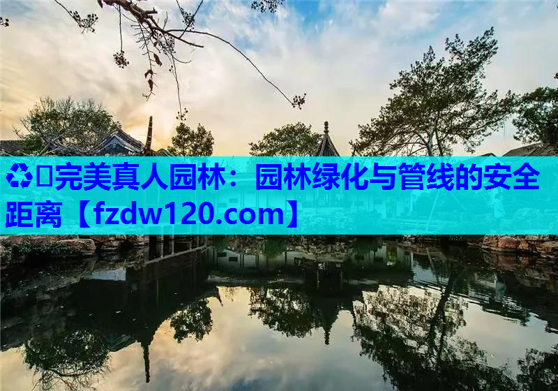 ♻️完美真人园林：园林绿化与管线的安全距离