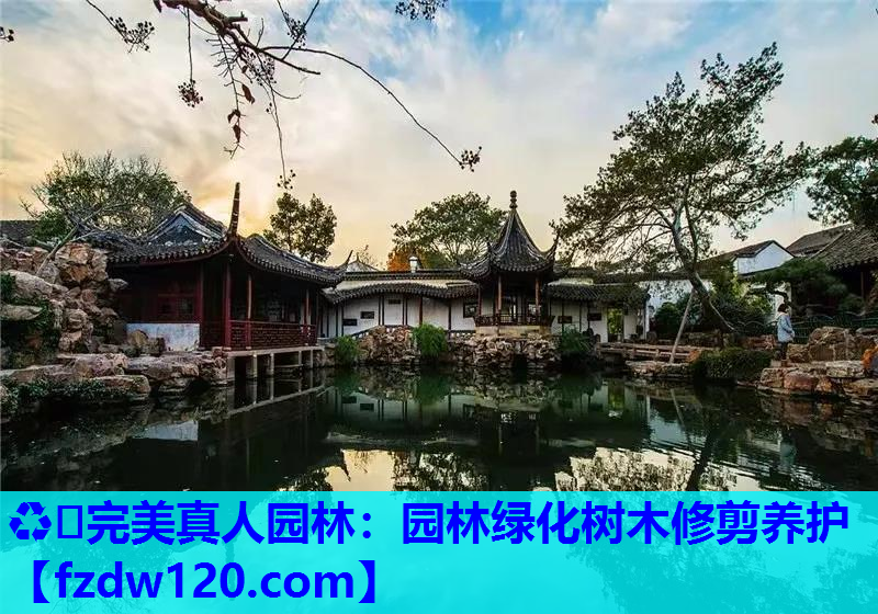 ♻️完美真人园林：园林绿化树木修剪养护
