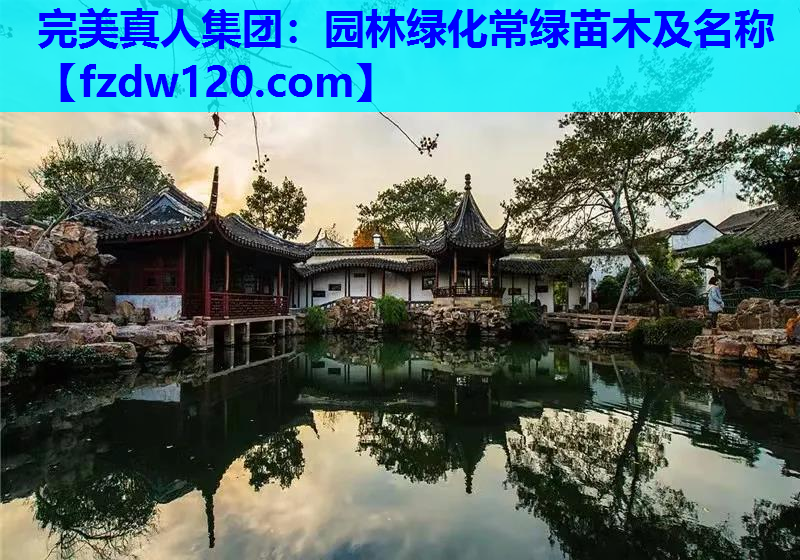 完美真人集团：园林绿化常绿苗木及名称