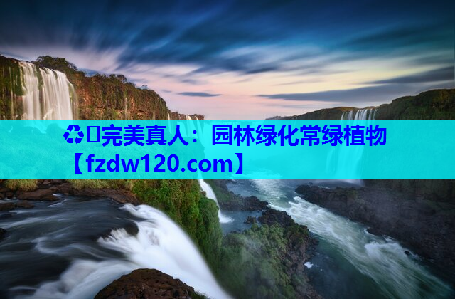 ♻️完美真人：园林绿化常绿植物