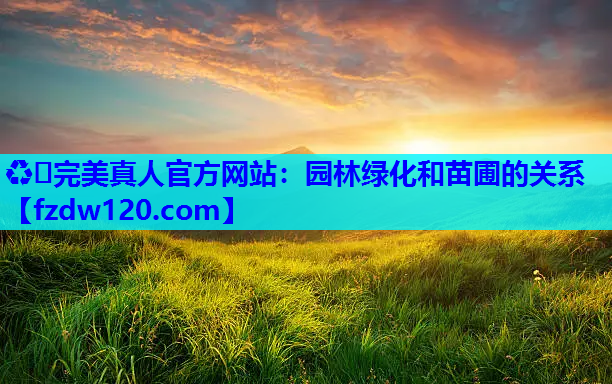 ♻️完美真人官方网站：园林绿化和苗圃的关系