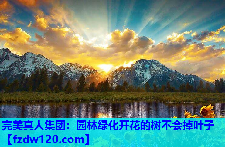 完美真人集团：园林绿化开花的树不会掉叶子
