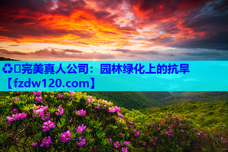 ♻️完美真人公司：园林绿化上的抗旱