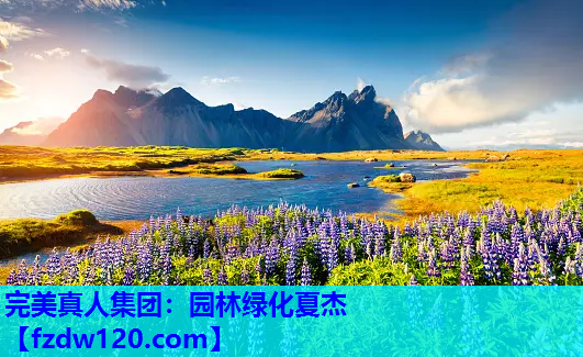 完美真人集团：园林绿化夏杰