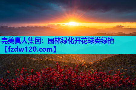完美真人集团：园林绿化开花球类绿植