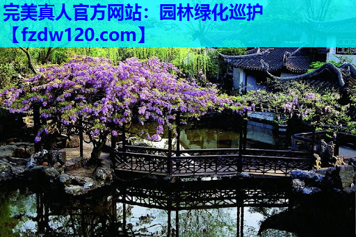 完美真人官方网站：园林绿化巡护