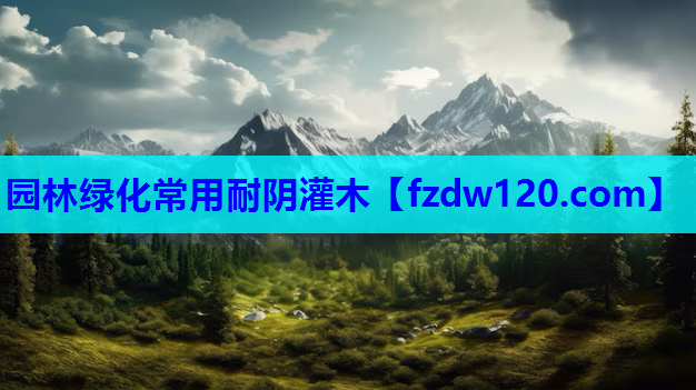 园林绿化常用耐阴灌木