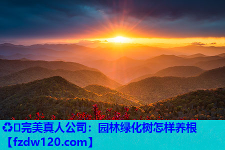 ♻️完美真人公司：园林绿化树怎样养根