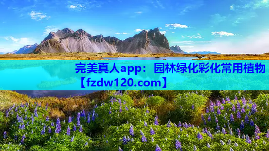 完美真人app：园林绿化彩化常用植物