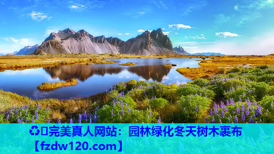 ♻️完美真人网站：园林绿化冬天树木裹布