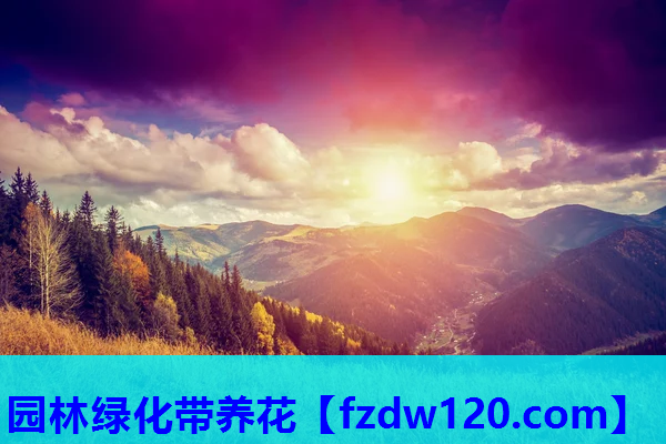 园林绿化带养花