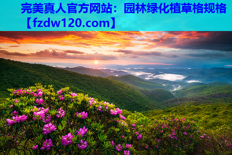 完美真人官方网站：园林绿化植草格规格