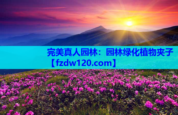 完美真人园林：园林绿化植物夹子