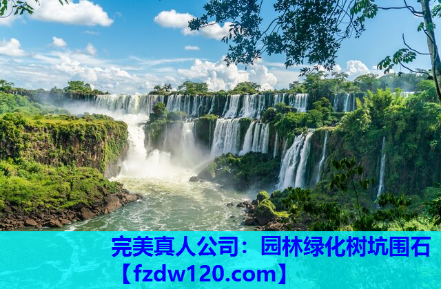 完美真人公司：园林绿化树坑围石