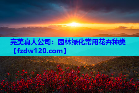 完美真人公司：园林绿化常用花卉种类