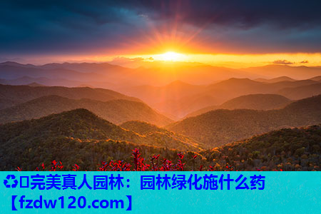 ♻️完美真人园林：园林绿化施什么药