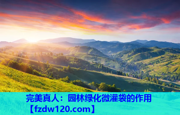 完美真人：园林绿化微灌袋的作用