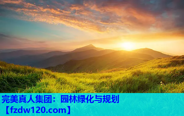 完美真人集团：园林绿化与规划