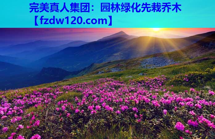 完美真人集团：园林绿化先栽乔木