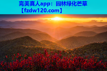 完美真人app：园林绿化芒草