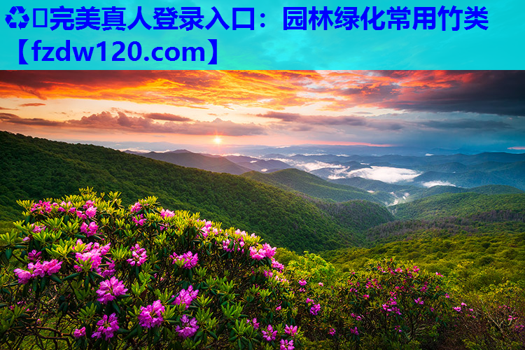 ♻️完美真人登录入口：园林绿化常用竹类