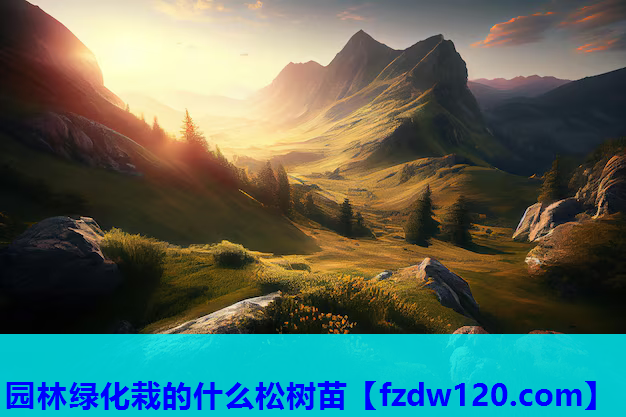 园林绿化栽的什么松树苗