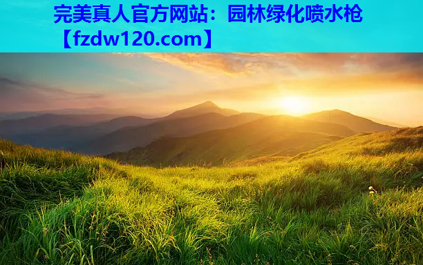 完美真人官方网站：园林绿化喷水枪