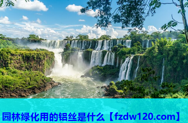 园林绿化用的铝丝是什么